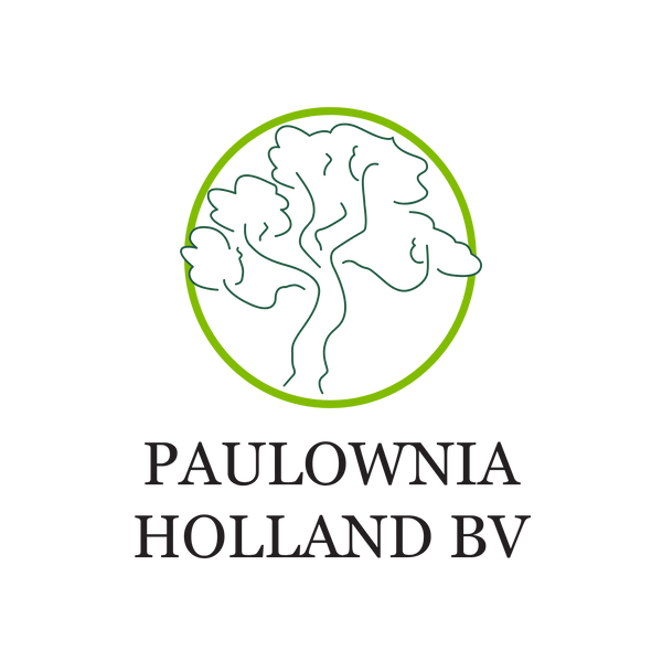 Paulownia Holland